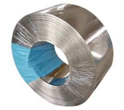 Stainless Steel Strips SUS301, SUS304, SUS430, SUS316L